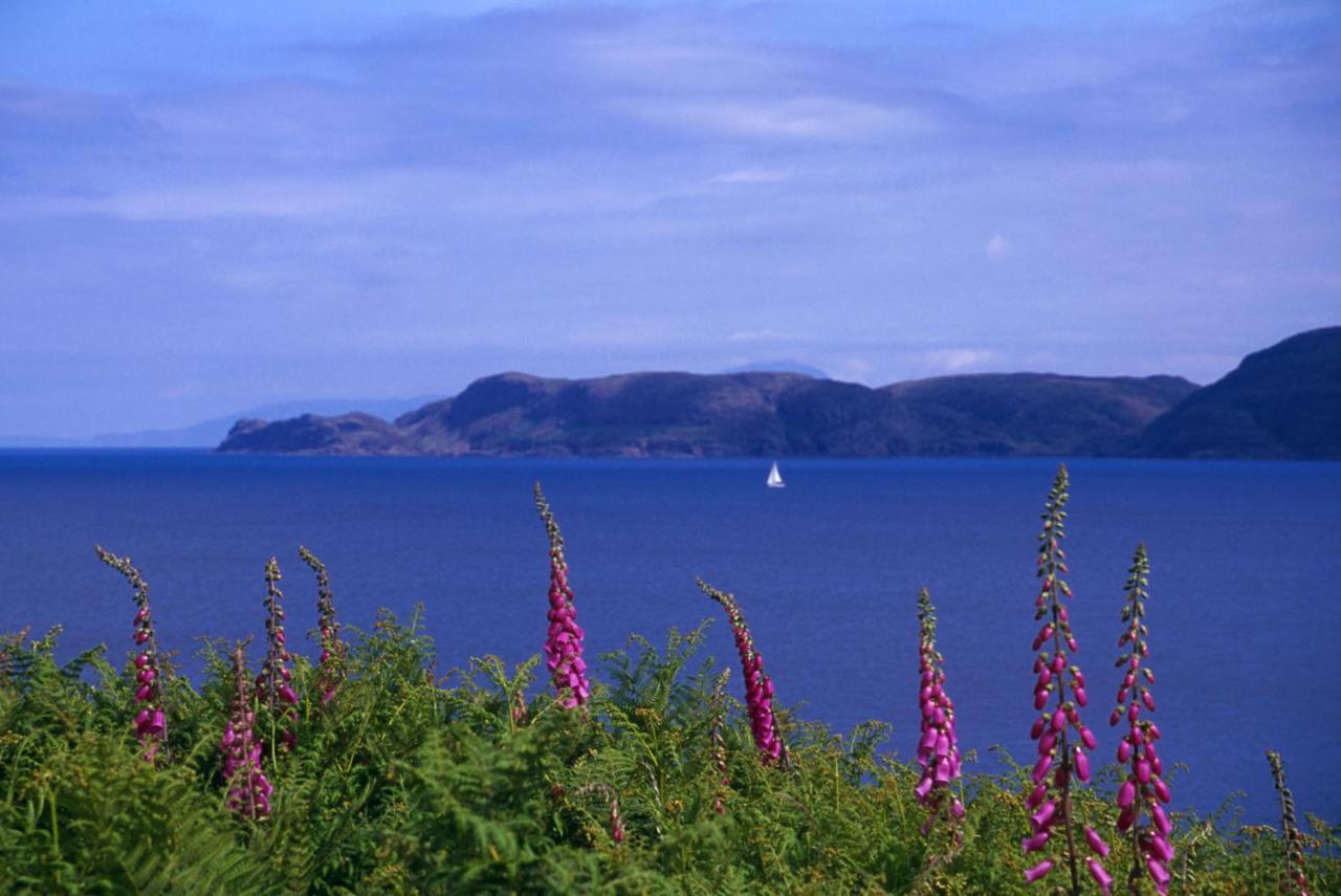 トバモーリ Glengorm Castle Bed & Breakfast エクステリア 写真